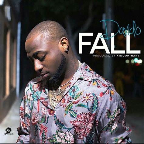 davido fall song lyrics